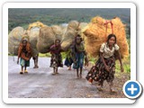 110 SULLE STRADE DELL'ETIOPIA